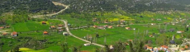 Gökçeören