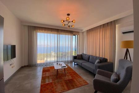 Hemera Suite 6