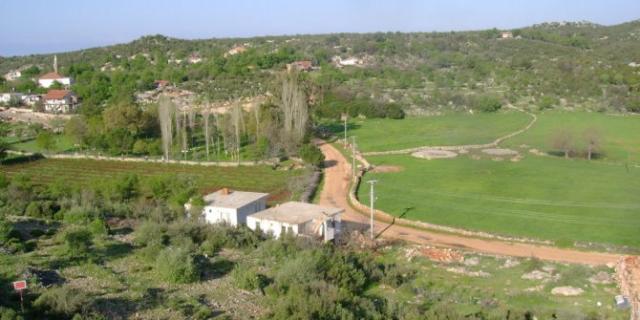 Belenli